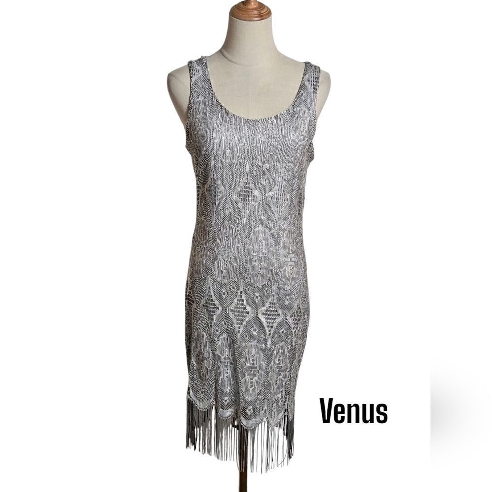 Venus Silver Fringe Stretch Dress